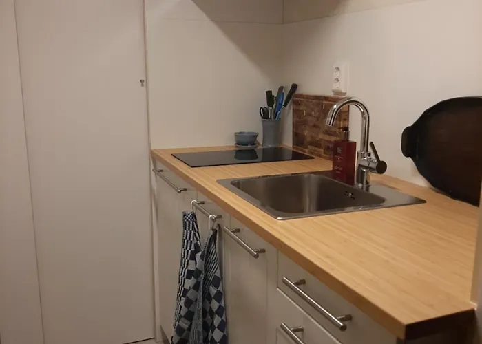 Gezellig Souterrain In Bollestreek Met Prive Ingang * Hillegom